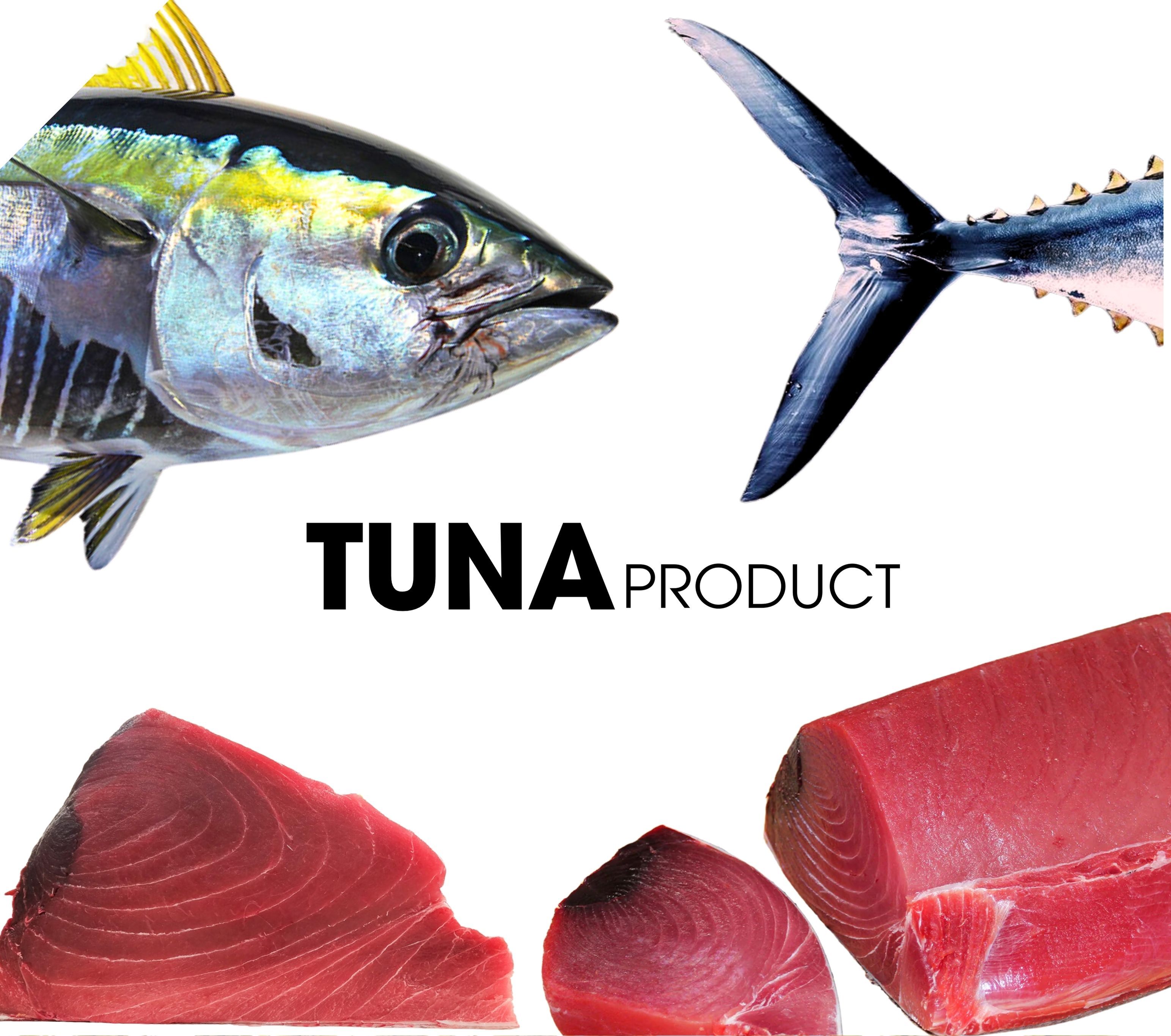 Tuna